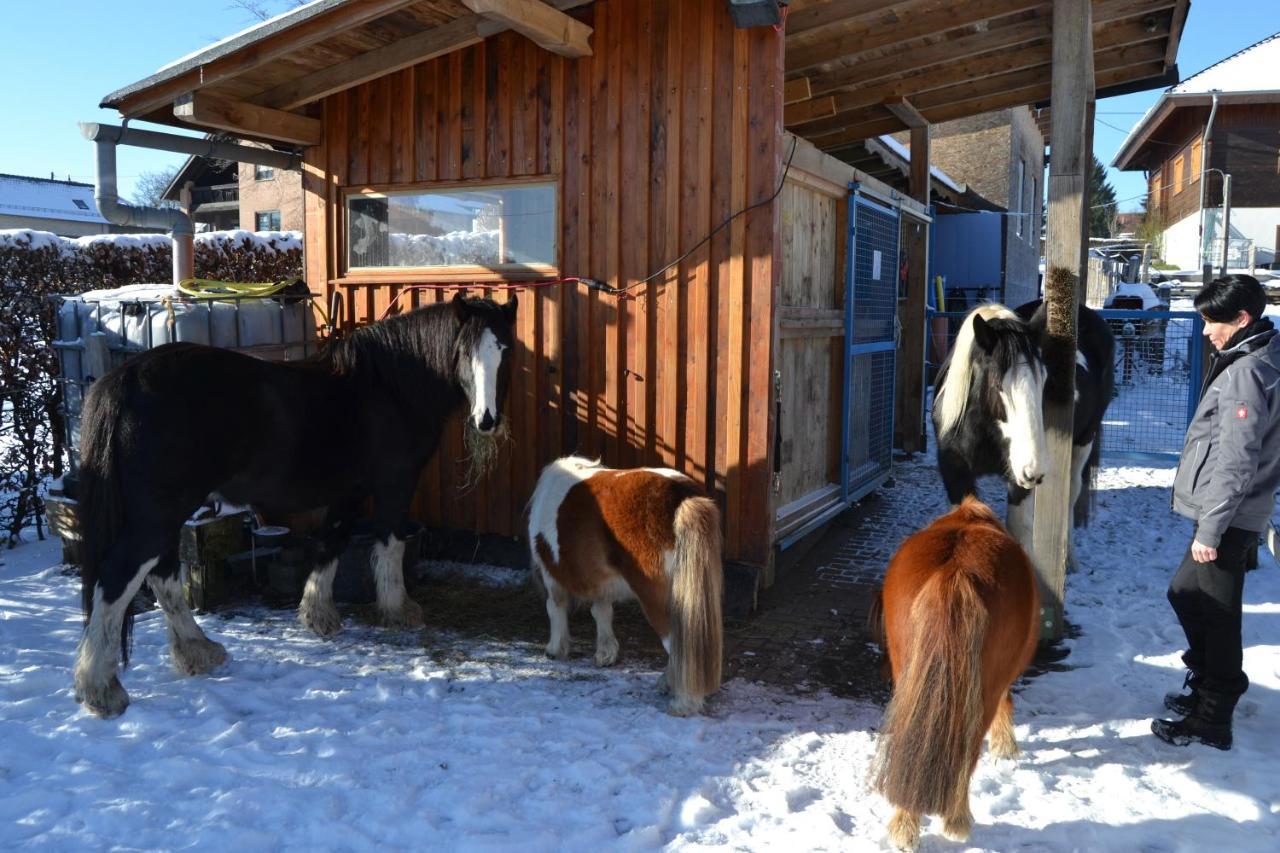 Apartamento Ferien Bei Freunden Im Holzhaus Monschau Exterior foto